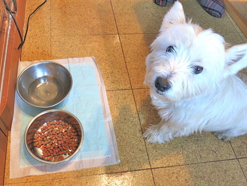 朝食、さまざま_c0260460_13454294.jpg