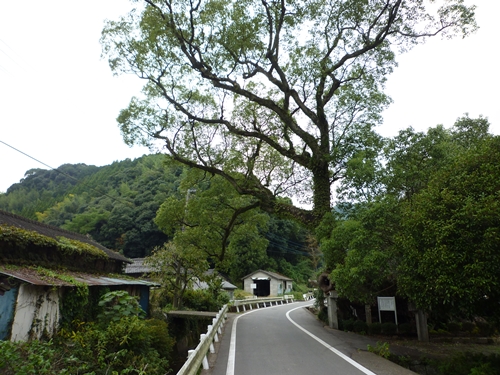 c0222861_09236.jpg