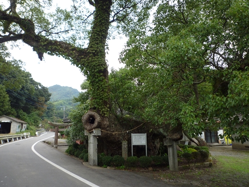 c0222861_09417.jpg