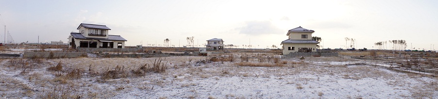 一　年　十　一　ヶ　月　・　・　・　宮　城　・　今　日　の　朝_a0262562_1113134.jpg