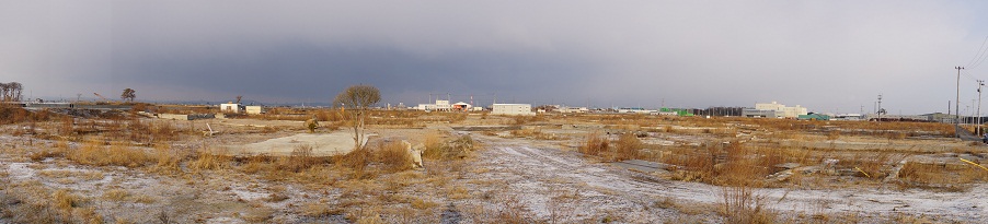 a0262562_1125598.jpg