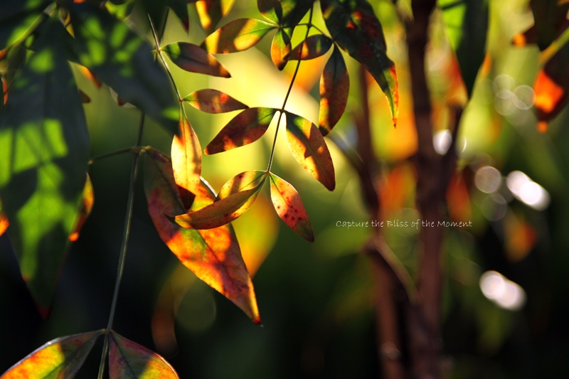 jít _e0248566_1231783.jpg