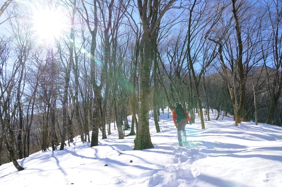 2013年1月29日　熊笹ノ峰～犬越路　単独日帰り　_f0238475_21304066.jpg