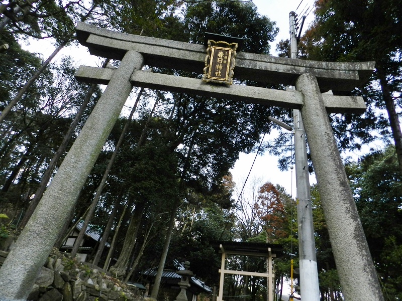 上穂積の春日神社。_c0212783_19411197.jpg