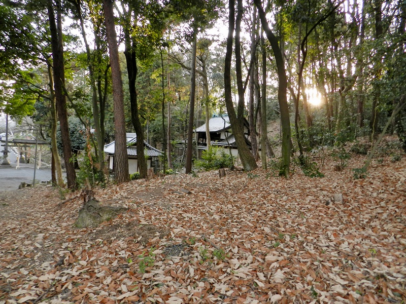 上穂積の春日神社。_c0212783_19413247.jpg