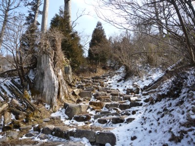 b0035391_20272373.jpg