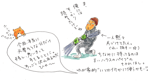 早速ですが・・・_f0236291_857035.gif