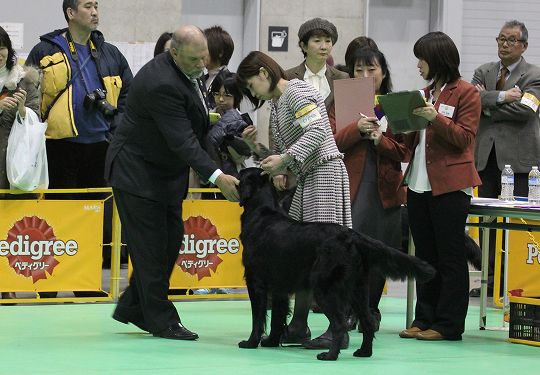 ちょっと違う出会い！_a0073492_13402664.jpg