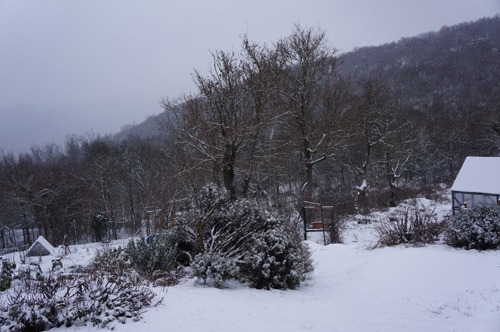 雪ウサギ_f0106597_17165972.jpg