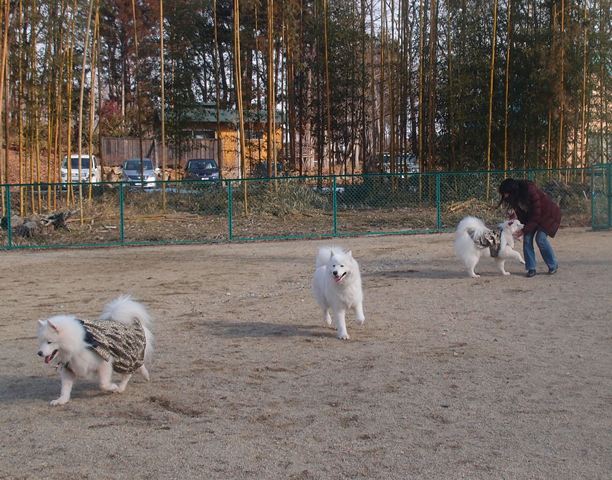 e0018604_1052421.jpg