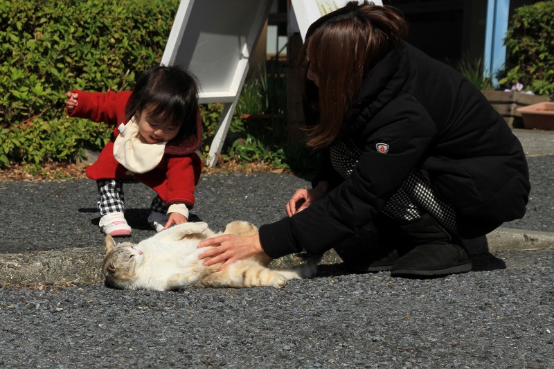 公園ねこ_a0076825_1530777.jpg