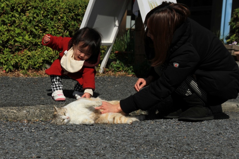 公園ねこ_a0076825_15311716.jpg