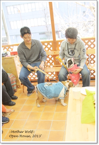 オープンハウス 2013\' ~新年会~_e0191026_22335114.jpg