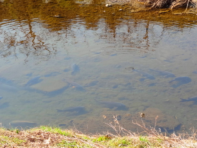 e0016828_10465461.jpg