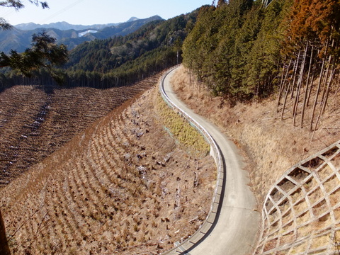 三室山(通矢尾根コース)　〜1月27日(日)〜　その④_b0281732_18273391.jpg