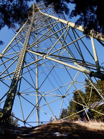 三室山(通矢尾根コース)　〜1月27日(日)〜　その④_b0281732_1827799.jpg