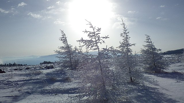 c0029332_21175813.jpg