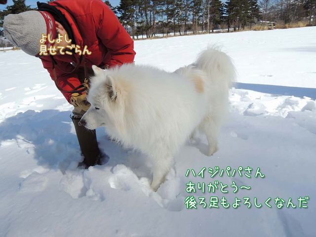雪遊びワホー♪_c0062832_5163717.jpg