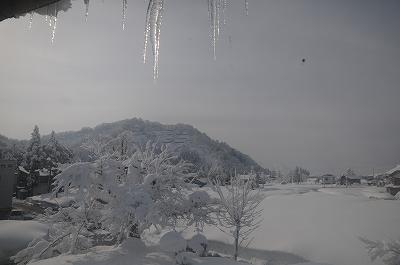 今朝は晴天で、気分がいいです_d0252835_1035942.jpg