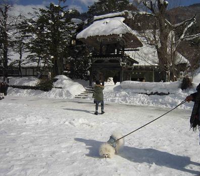 ひだ白川郷 (2)_b0177436_20435343.jpg