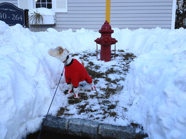 大雪だけどムフフ～の日～！_a0224537_5192416.jpg