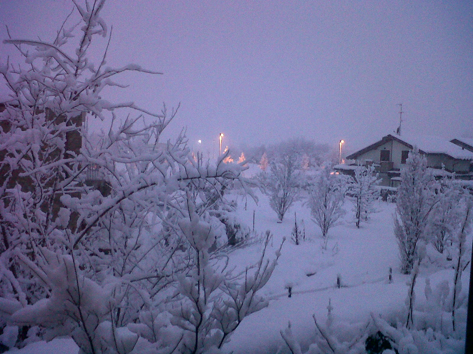 c0018037_1644823.jpg
