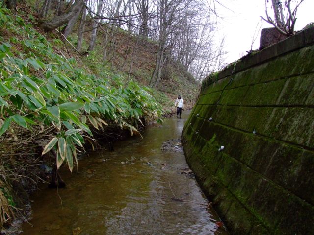 岩見沢・栗沢「日本で二番目に多い苗字の沢」_e0290546_22513358.jpg