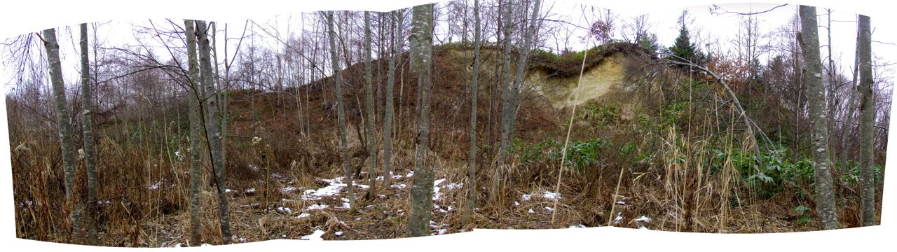 e0290546_22521739.jpg