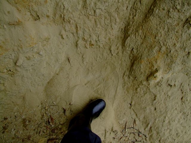 e0290546_22534672.jpg