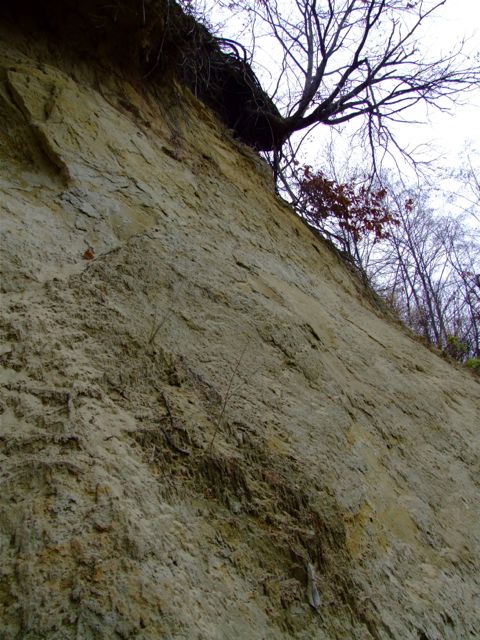 e0290546_22534913.jpg