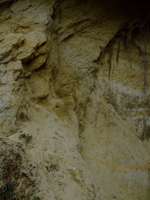 e0290546_22535111.jpg