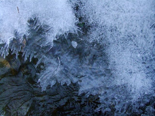 e0290546_23112546.jpg