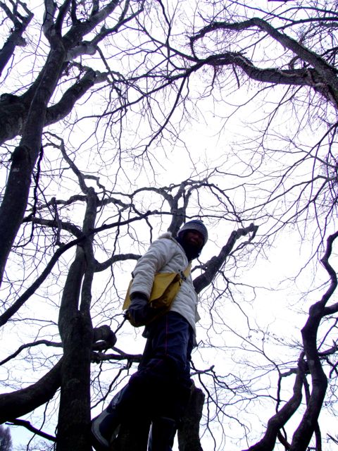 e0290546_238165.jpg