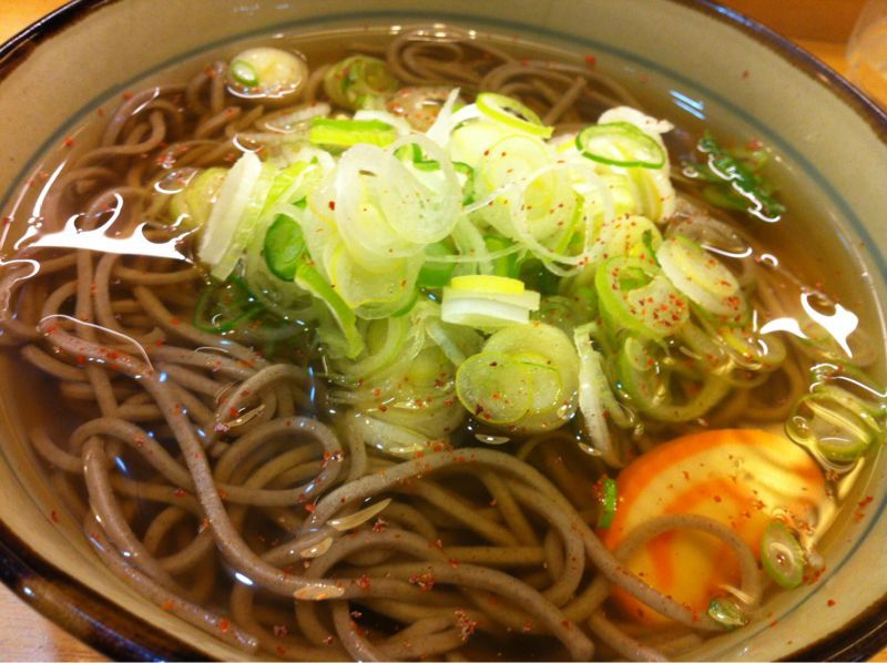 蕎麦ネギ大盛りなう！_c0110051_1135265.jpg