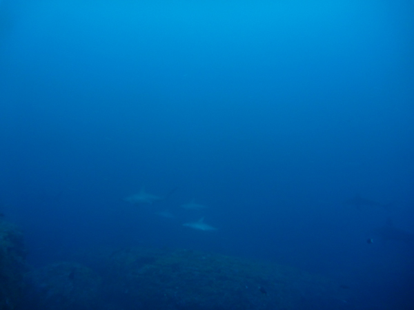 2月12日 着底ラブ_d0113459_20541315.jpg