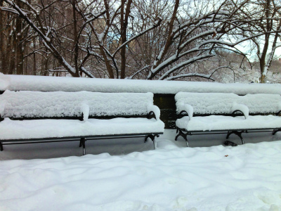 A post-blizzard stroll～その2_c0089360_22342218.jpg