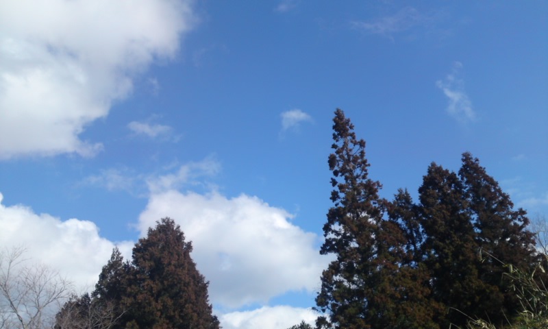 c0115560_11314546.jpg