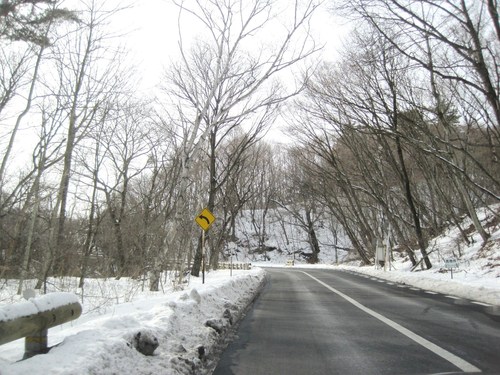 f0236260_110676.jpg