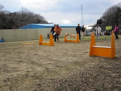 f0177261_7442796.jpg