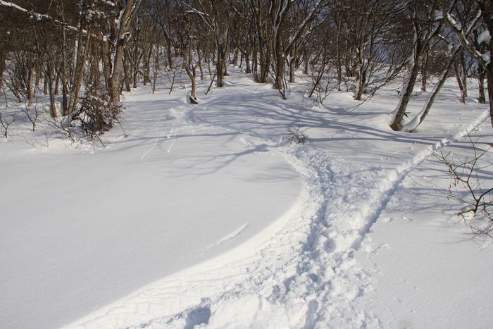 2月9日　猪谷　舟渡_f0223068_7334926.jpg