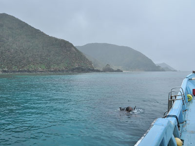 「サンゴ調査~クジラ~イルカ」_b0033573_2015028.jpg