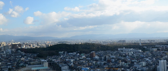c0229483_1083111.jpg