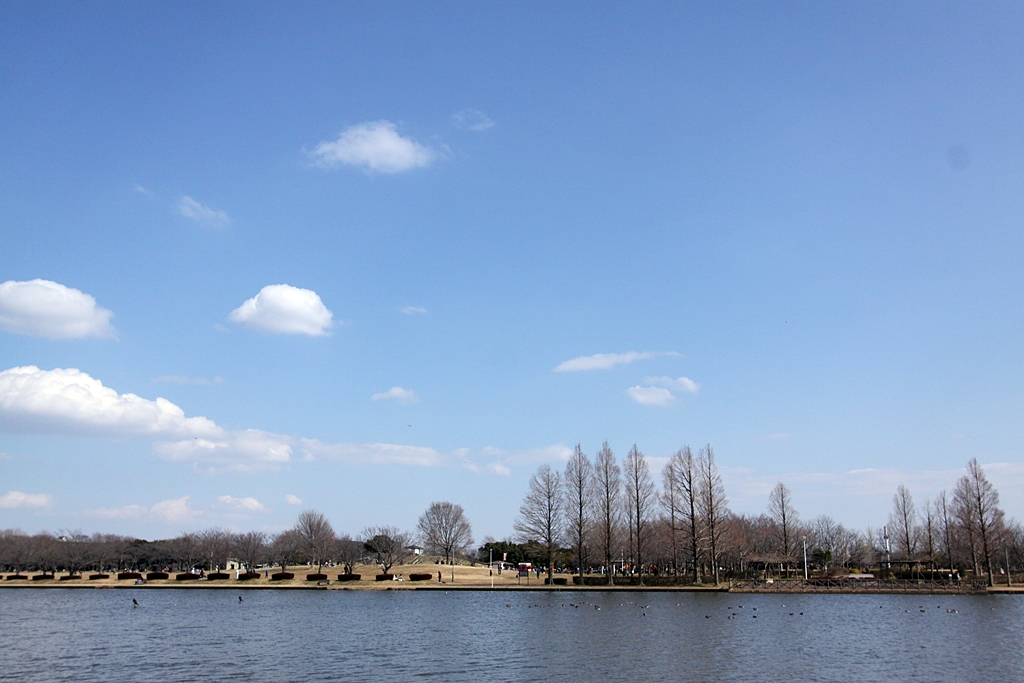 d0130286_011794.jpg