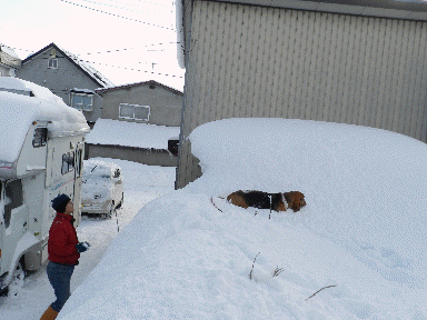 f0205887_16574299.gif