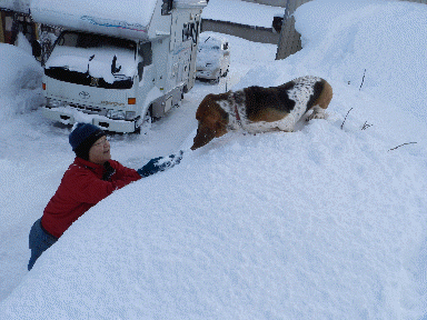 f0205887_16585649.gif