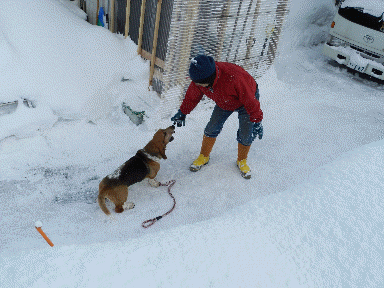 f0205887_1701100.gif