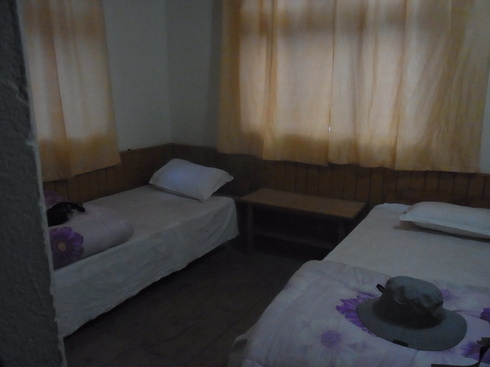 a0207588_0232351.jpg