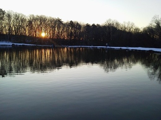 f0119889_17191242.jpg
