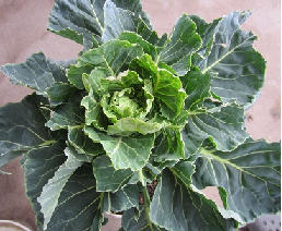 f0234590_11382365.png