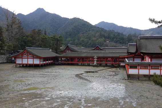 厳島神社と宮島水族館…後編_f0222692_13542779.jpg